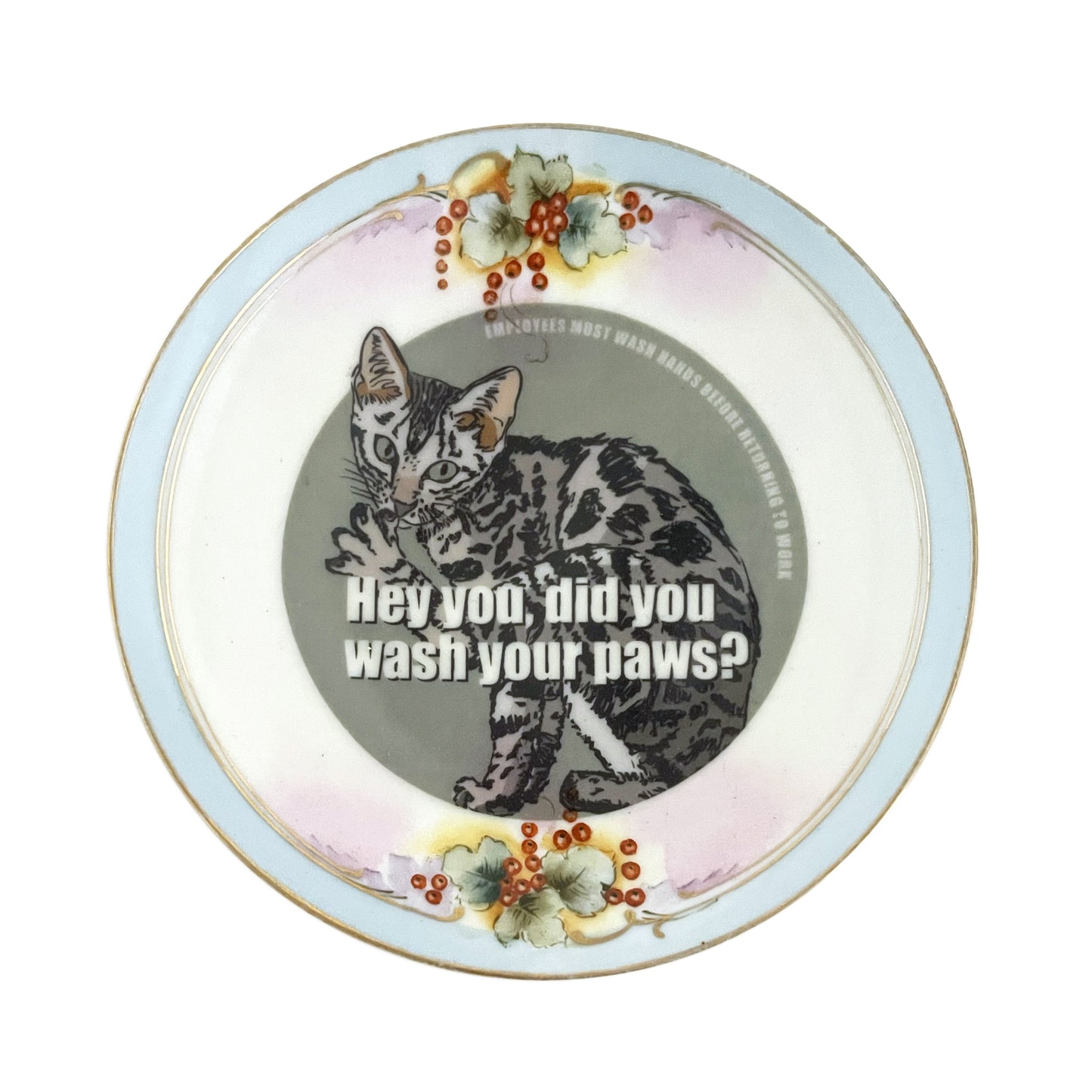 "Hey You, Did You Wash Your Paws?" House Rule