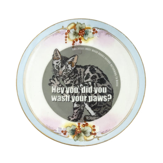 "Hey You, Did You Wash Your Paws?" House Rule