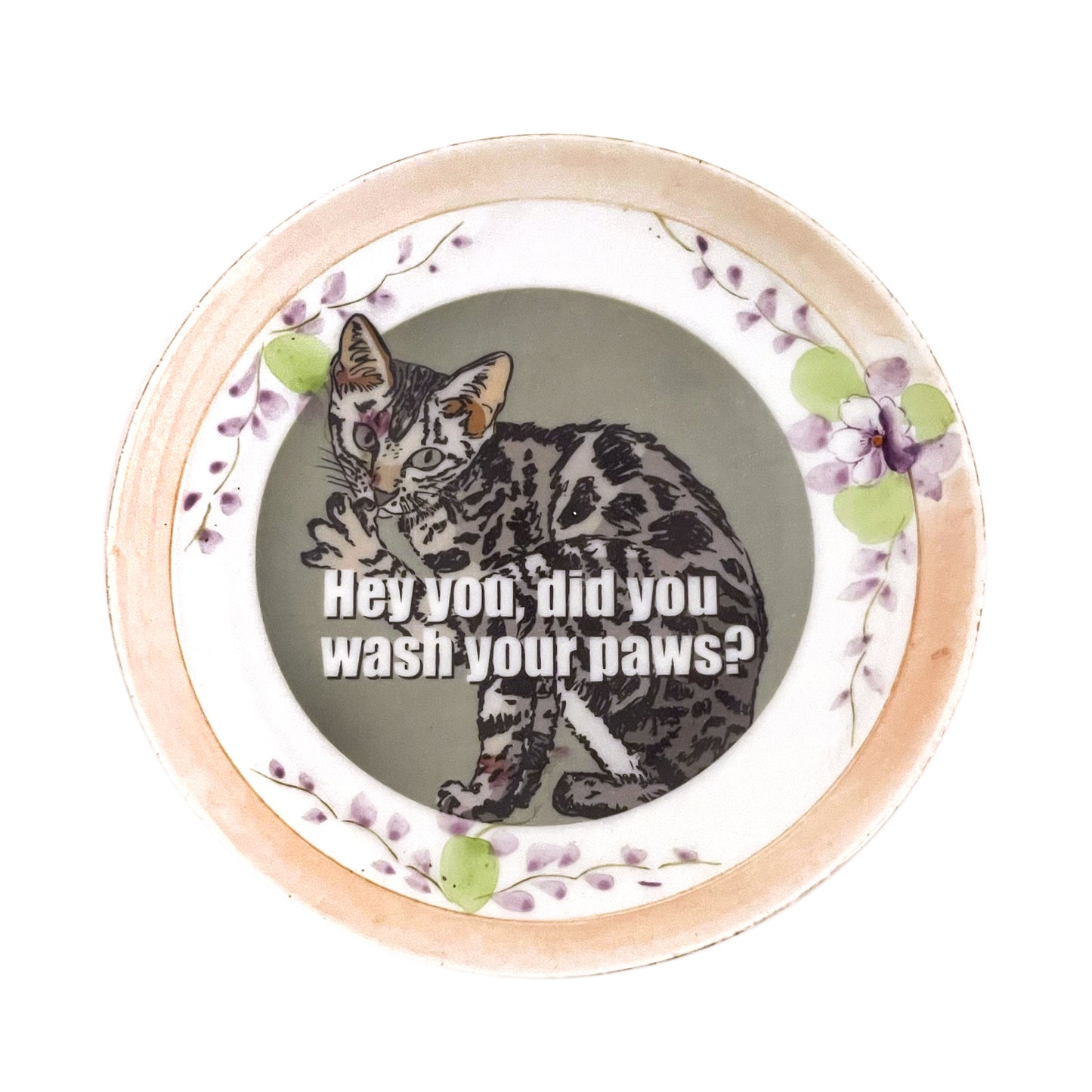 "Hey You, Did You Wash Your Paws?" House Rule