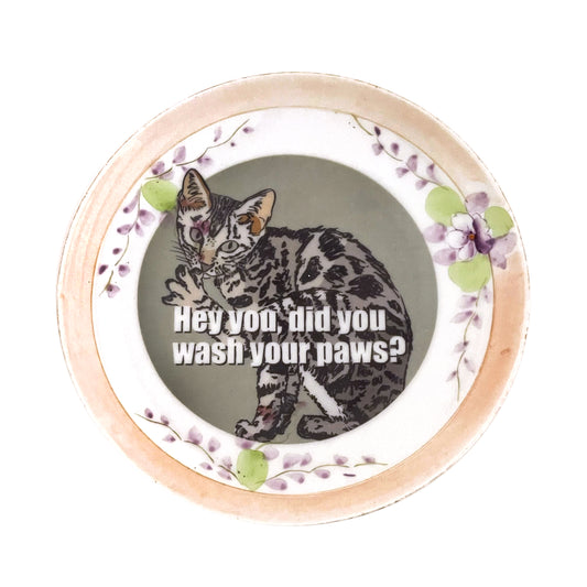 "Hey You, Did You Wash Your Paws?" House Rule