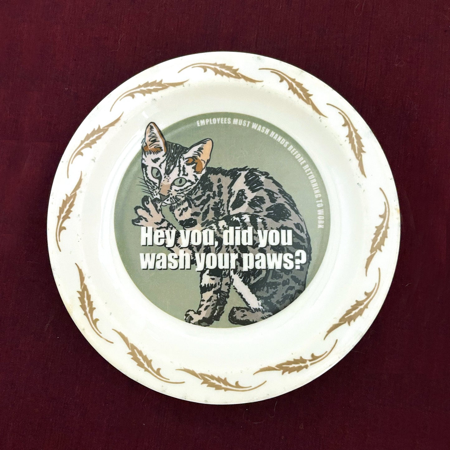 "Hey You, Did You Wash Your Paws?" House Rule