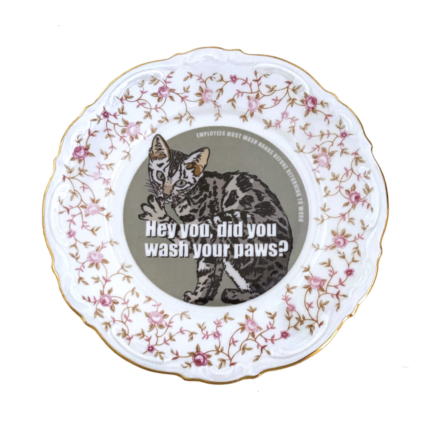 "Hey You, Did You Wash Your Paws?" House Rule