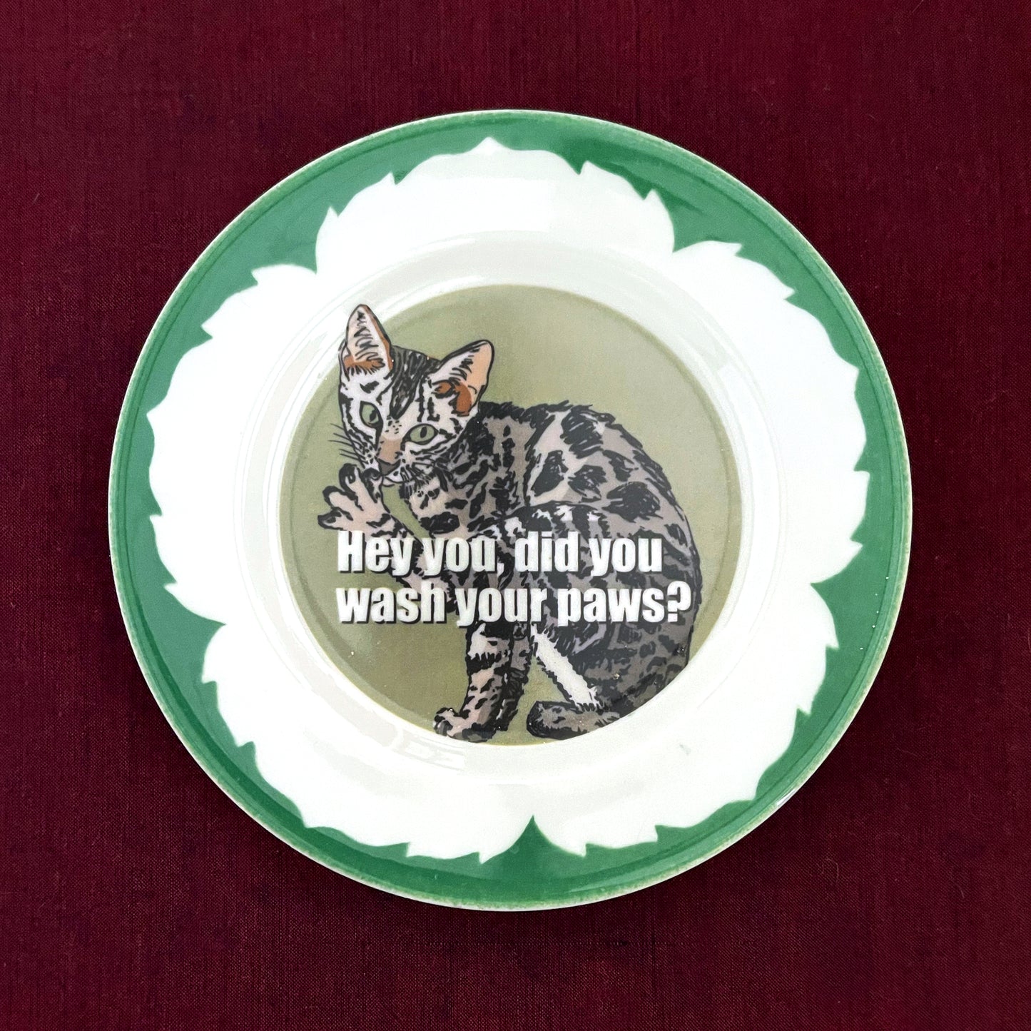 "Hey You, Did You Wash Your Paws?" House Rule