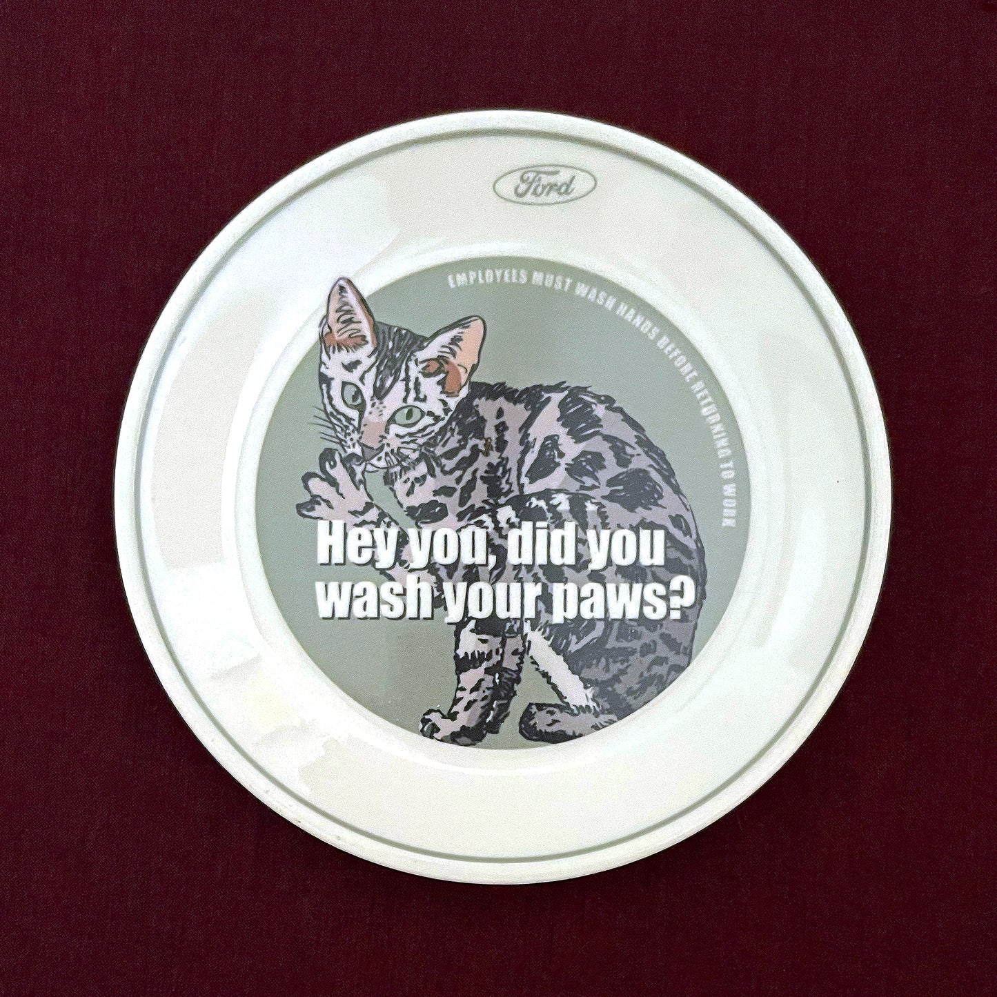 "Hey You, Did You Wash Your Paws?" House Rule