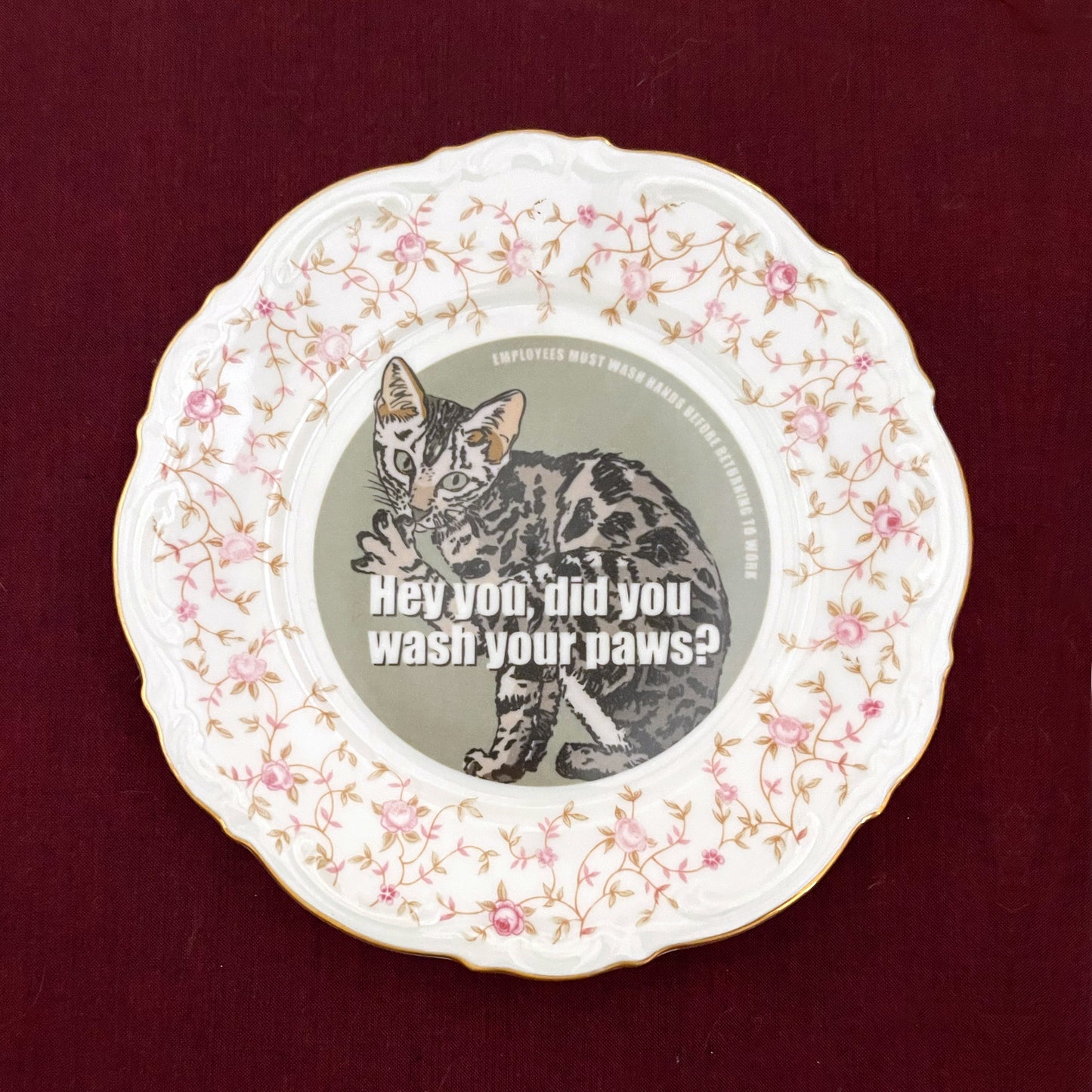 "Hey You, Did You Wash Your Paws?" House Rule