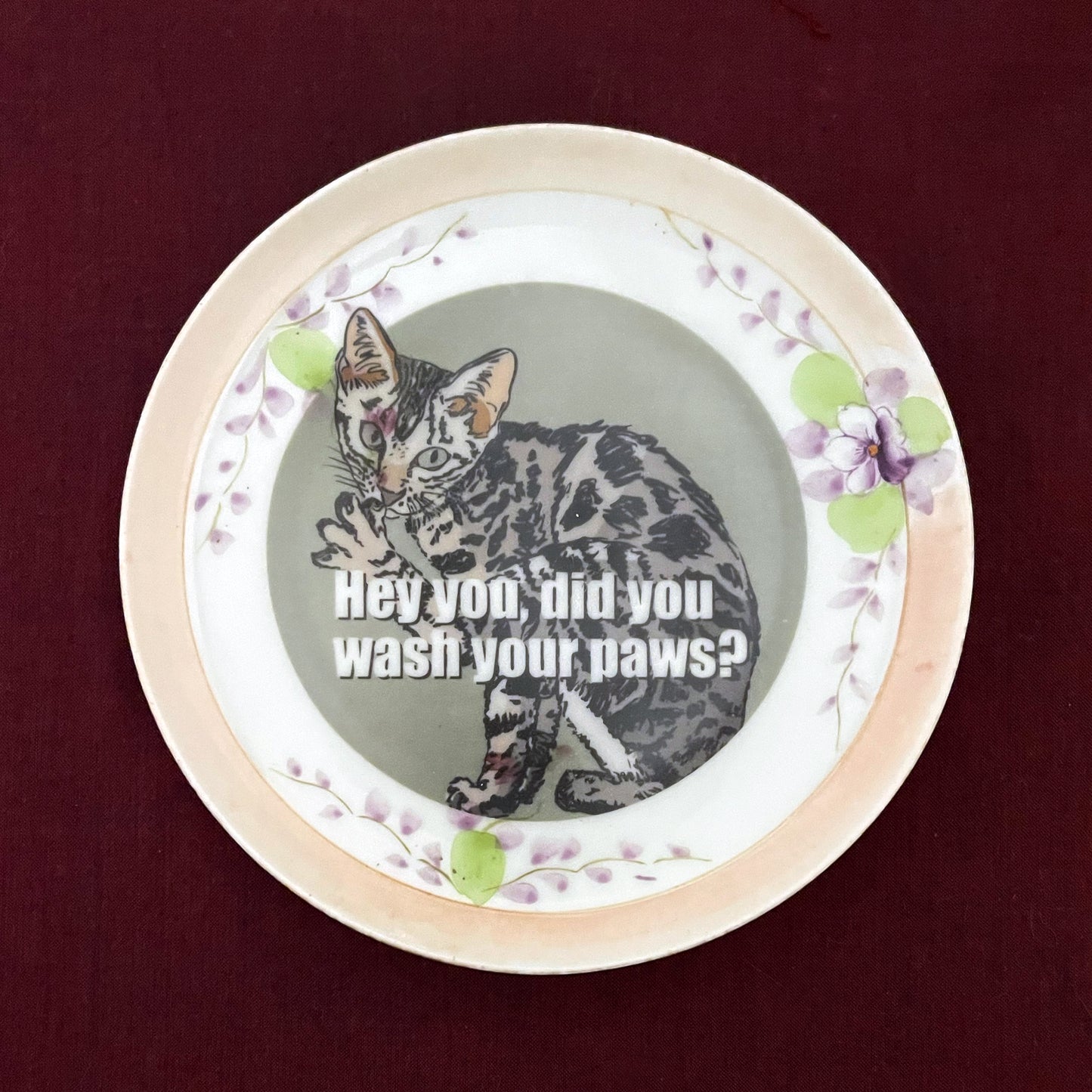 "Hey You, Did You Wash Your Paws?" House Rule