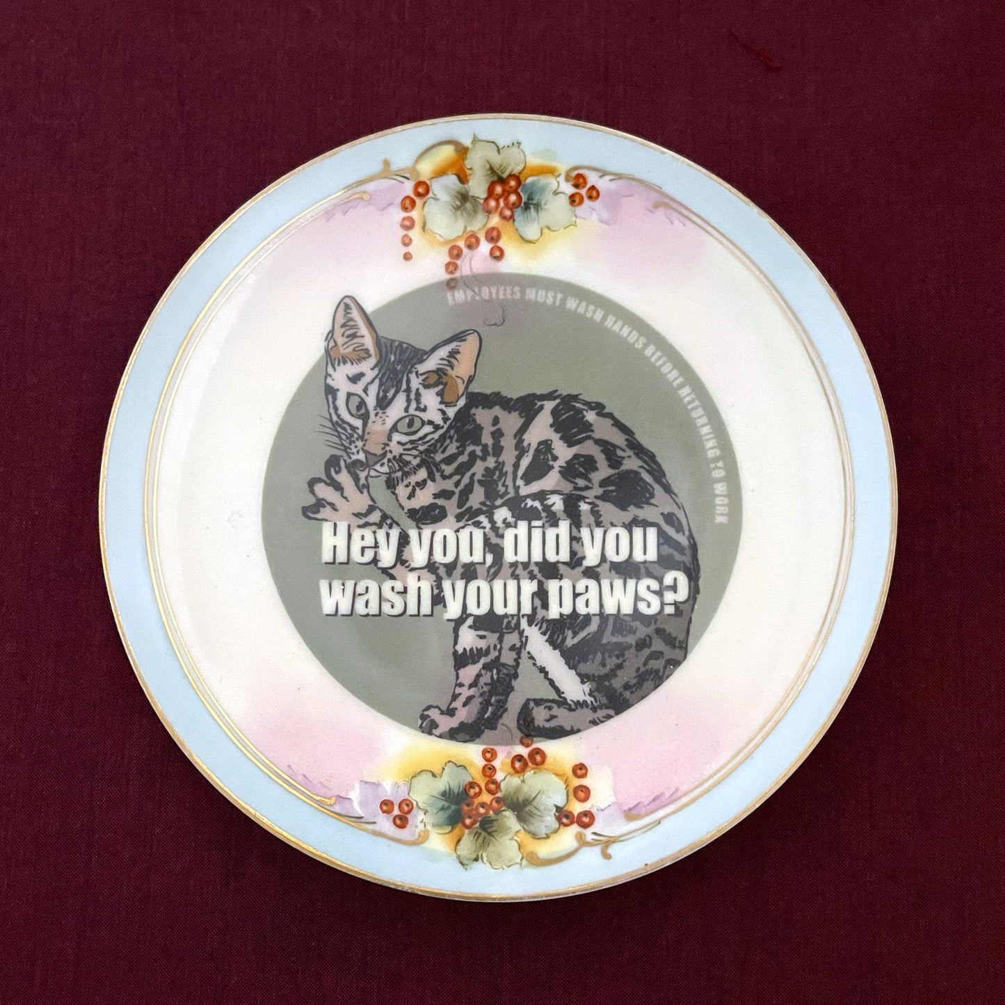 "Hey You, Did You Wash Your Paws?" House Rule